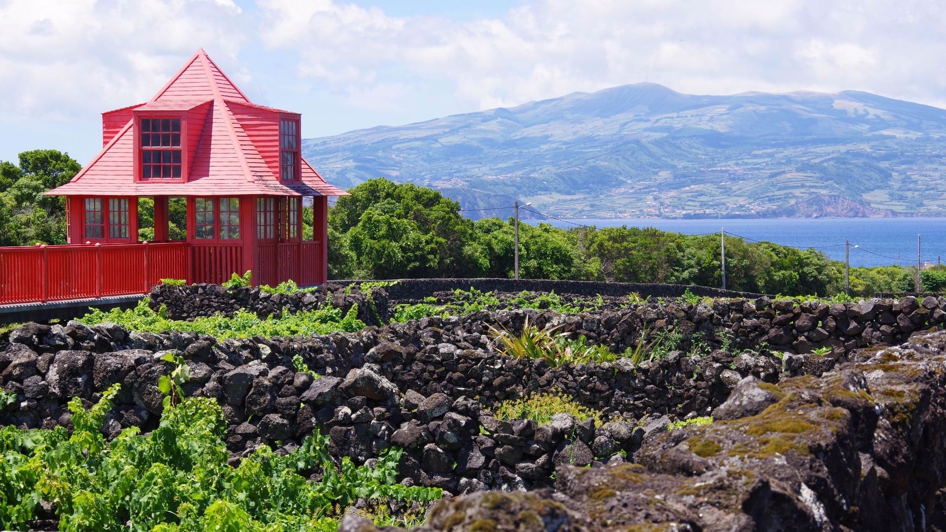 Pico vineyards, Azores